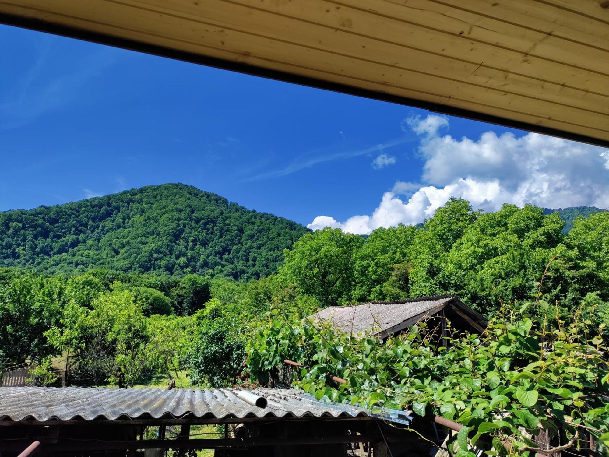 Jibghashvilebi'S House 라고데키 외부 사진